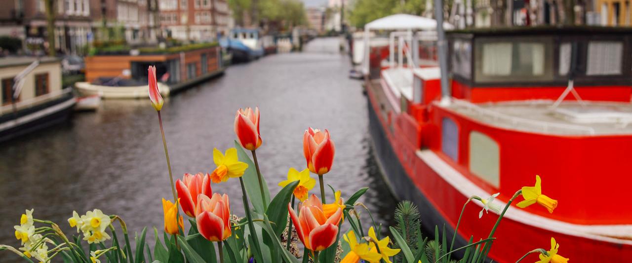 Koningsdag 2024